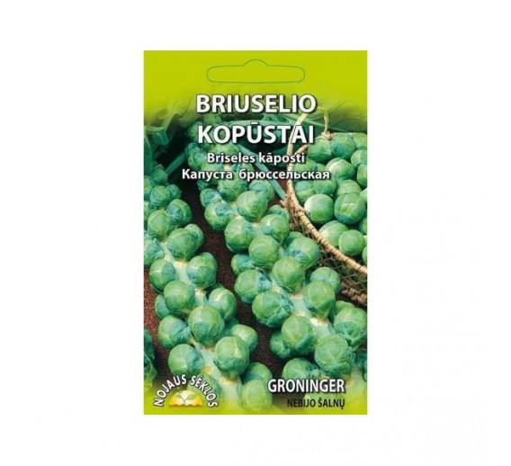 Sodo ir daržo prekės. Sėklos, daigyklos, durpinės tabletės. Kopūstų sėklos. Briuselio kopūstai Groninger 1 g 