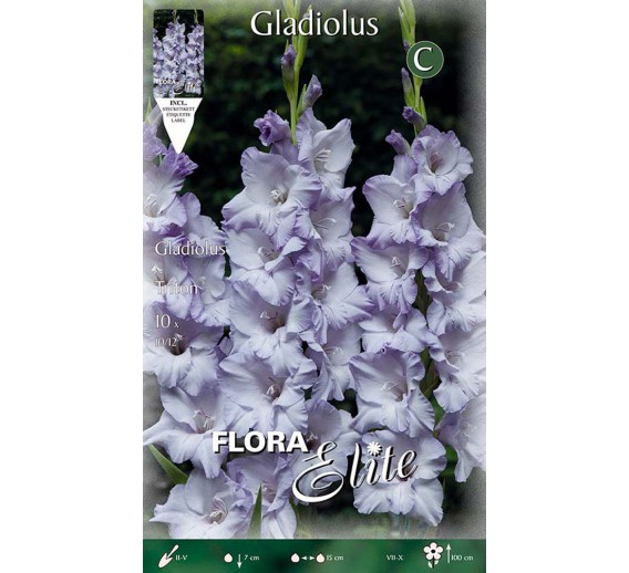 Sodo ir daržo prekės. Sėklos, daigyklos, durpinės tabletės. Gėlių sėklos. Kardeliai Gladiolus Triton 10 sv. 