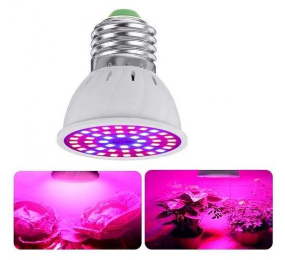 Apšvietimas. Lempos, LED lemputės, LED juostos. LED lemputės. LED lemputės E27 cokoliu. LED lempa augalams 1,88W 