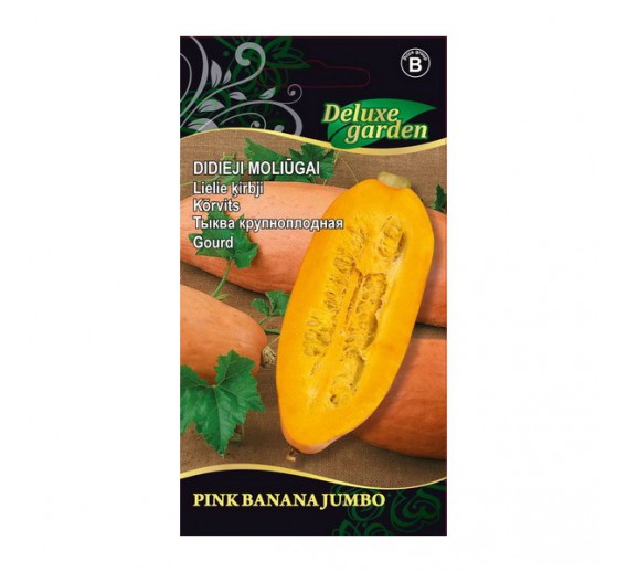 Sodo ir daržo prekės. Sėklos, daigyklos, durpinės tabletės. Cukinijos, moliūgai, baklažanai. Moliūgai Pink banana jumbo 2 g 