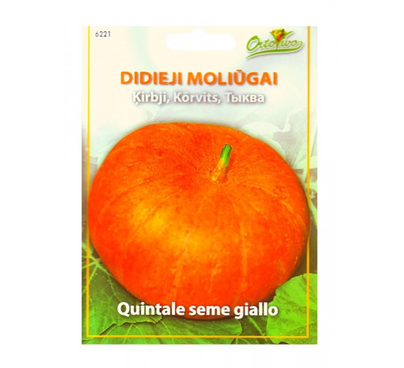 Sodo ir daržo prekės. Sėklos, daigyklos, durpinės tabletės. Cukinijos, moliūgai, baklažanai. Moliūgas Quintale seme giallo, 2,25 g 